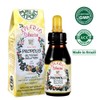 Apiario Silvestre Apiario Silvestre Brazilian Green Bee Propolis Liquid Glycolic