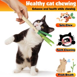 LEKEWPET Catnip Chew Stick 4PCS with Wrapped Cotton Rope – Natural Dental Care Cat Toy for Teeth Cleaning & Gum Health, Satisfies Chewing Instincts, Safe & Long-Lasting Kitten Teething Toy (White)