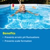 In The Swim Alkalinity Increaser for Swimming Pools - Raises