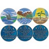 Sobriety Coins Set 1-12 Months Alcoholics Anonymous Medallions AA Chip