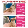 Earth Pet Nukurin Pet Towel, Pink