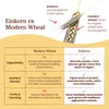 Jovial Organic Einkorn Unbleached All Purpose Flour - Bread Baking