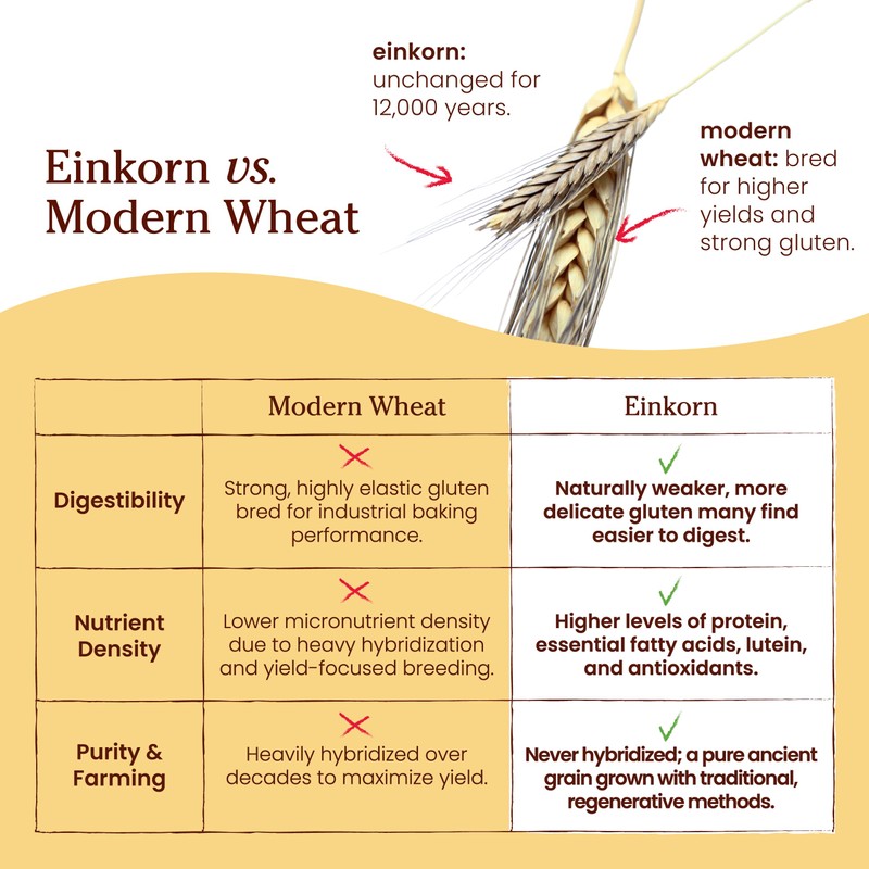 Jovial Organic Einkorn Unbleached All Purpose Flour - Bread Baking