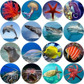 Hohamn 600Pcs Sea Animals Stickers Roll 1.5 Inch 16 Styles Ocean Life Label Stickers for Kids Party Favors Teacher Reward Encouragement Motivational Stickers