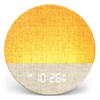 Dreamegg Light Alarm Clock, White Noise Machine, Alarm Light, Light