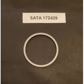 SATA Jet 4000 Air Cap Seal (172429) SATA Fluid Tip Element Seal (140582)  COMBO