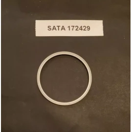 SATA Jet 4000 Air Cap Seal (172429) SATA Fluid Tip Element Seal (140582)  COMBO