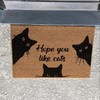 Welcome Stencils for Doormat 27.5” Cat Door Mat Stencil Enter