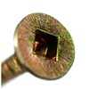 Dandribis Shota AK Biss, 1.8 inches (45 mm), Box 24,