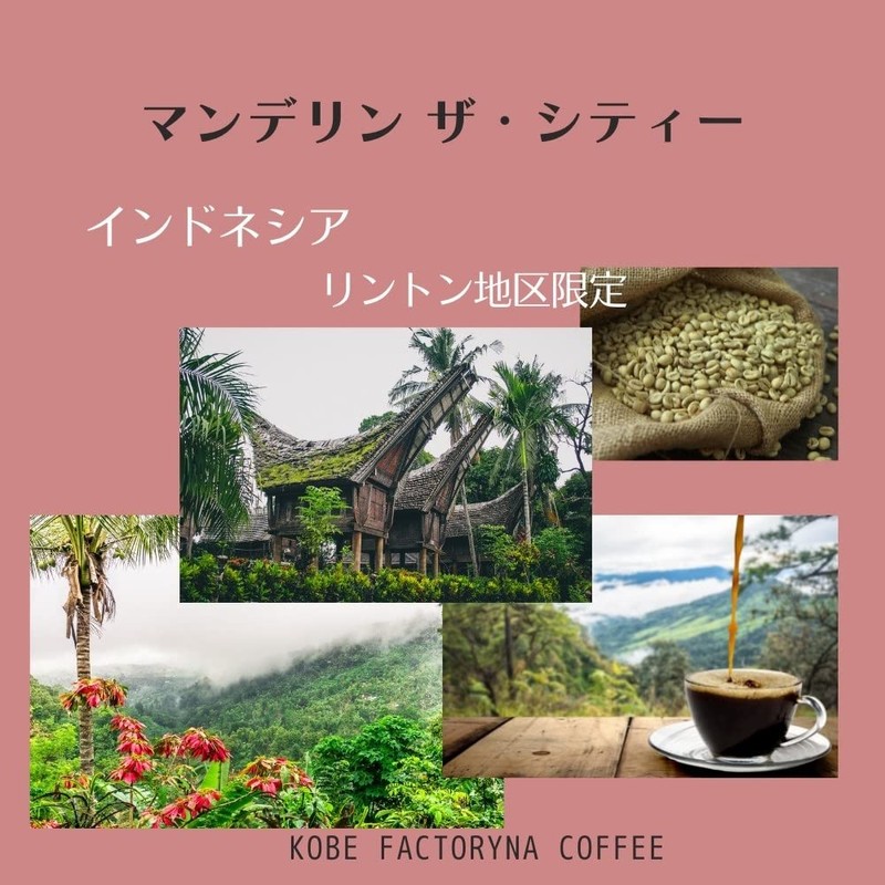 Mandelin Special Tea Coffee, The City, Medium Roasted Coffee Beans,