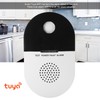 Gas Detector WIFI WallMounted Leakage Sniffer APP Remote for TUYA