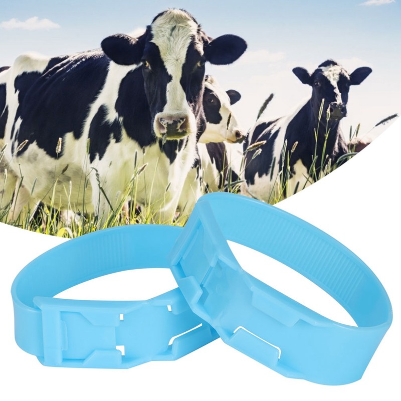 10pcs Livestock Plastic Cattle Identification Ring Cow Marking Band Tool