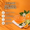 Ginger Lily Farms C and F Formula Shampoo, Citrus Gallon,