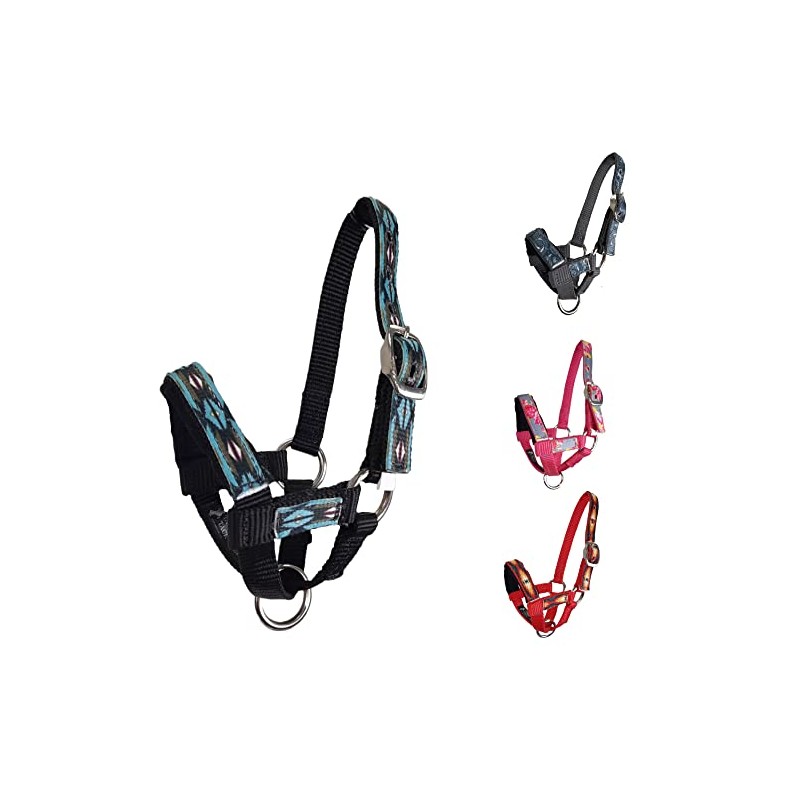 Tahoe Tack Nylon Overlay Alpaca Halter with Padded Noseband (Blue