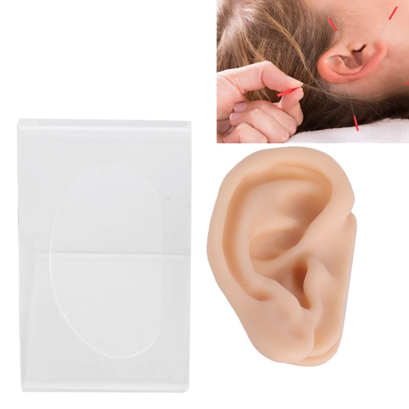 Soft Silicone Ear Model Simulation Ear Acupuncture Practice Model for