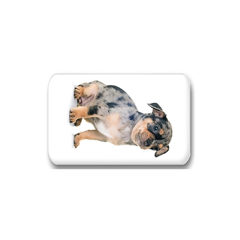 Merchandise for Fans Chihuahua 01 Rectangular Fridge Magnets 5.8 x