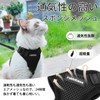 Rabbitgoo Cat Harness and Leash Set, Suitable for Dogs and
