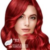 Nisha Cream Hair Color (150 ml/each) Flame Red Pack of