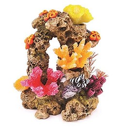 Kazoo Reef Rock with Coral and Plants,