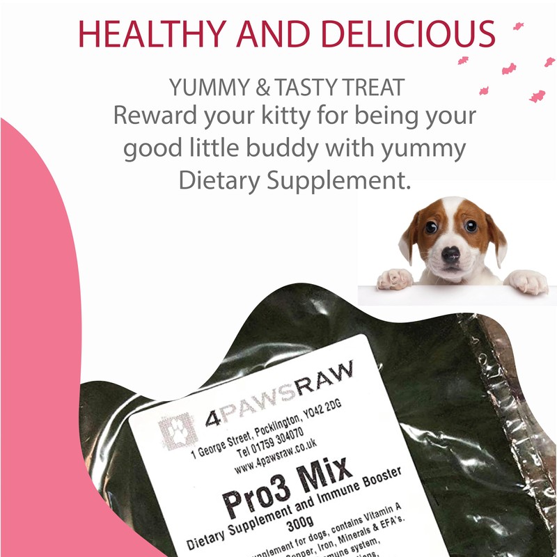 4PAWSRAW Dog Multivitamins & Minerals Supplement Immunity Booster Dietary Supplements