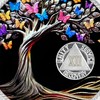 12 Year Sobriety Coin Gifts | Sun and Black Butterfly