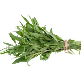 Outsidepride Tarragon - 5000 Seeds