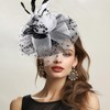 LdevotionR Elegant Fascinator Hats for Women - Stylish Mesh and