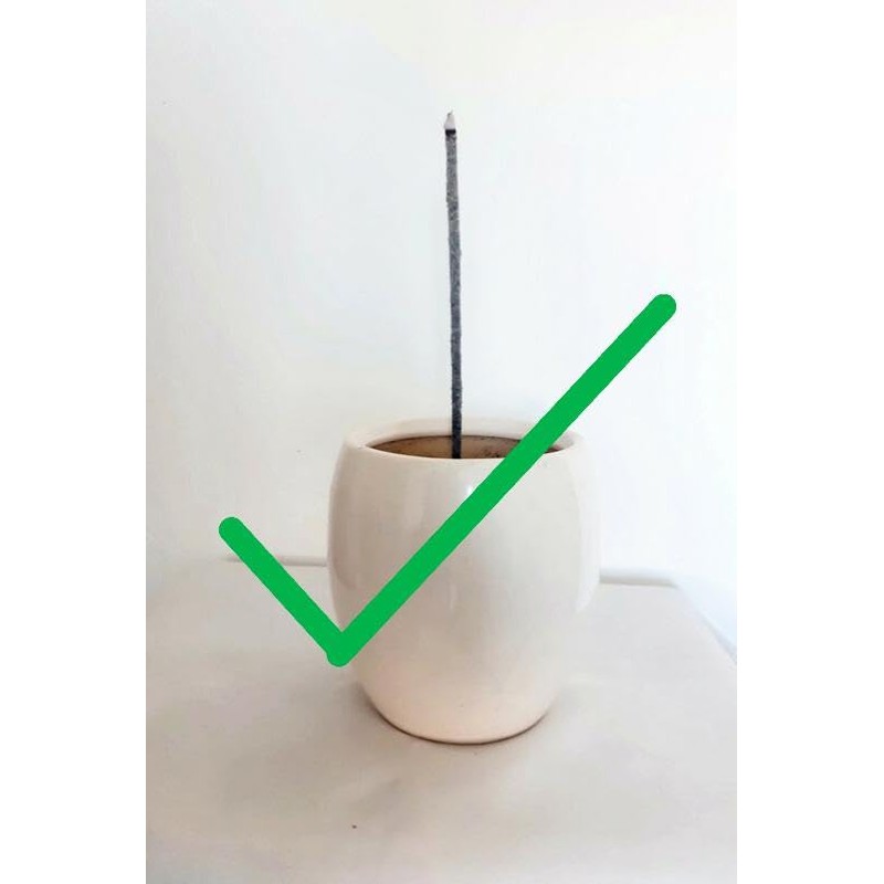 Copal Tree Resin Incense Sticks, Hand Rolled from Mexico, Pack