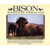 Bison: Symbol of the American West