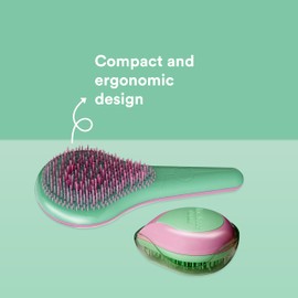 Home and Travel Detangler Set - Classic Detangler Brush for Healthy Hair - Travel Detangler Brush Reduces Frizz and Breakage - Regular Hair - 2 Pc