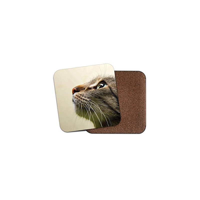 1 x Cats Face Coaster - Cat Kitten Tabby Eye