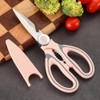 2 Pcs Garden Flower Scissors Pink and Blue