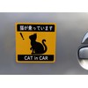 CAT in CAR Car Car Sticker Car Magnet Sheet Sticker