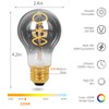 Decoaui Vintage Edison LED Light Bulbs A19, E26 Base, Dimmable