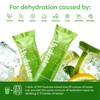 310 Hydrate Electrolyte Powder Packets – Key Vitamins & Minerals
