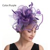 Fascinator Women's Organza Church Kentucky Derby British Bridal Tea Party