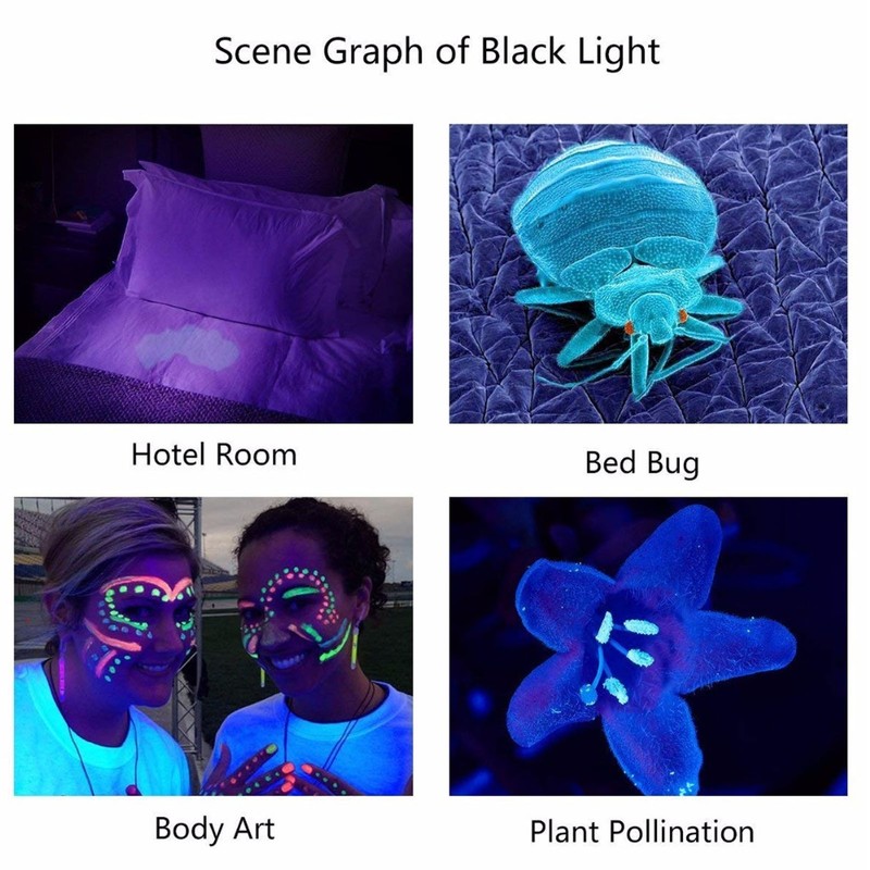 UV Flashlight USB 395nm LED Ultraviolet Black Light Detector for