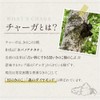 Grace of Nature チャーガ パウダー 粉末 無添加 チャーガ茶 カバノアナタケ 白樺のキノコ