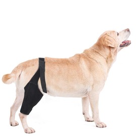 SUYUKU Dog Knee Brace for ACL with Side Stabilizers Dogs Surgery Recovery Lick Sleeve Joint Hock Support Canine Leg Hock Wrap Carpal Support Protects Wounds Brace Heals Prevents Injuries (Black, M)
