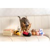 Puffy Crew Interactive Catnip Cat Plush Toy, Insect Theme, 5'',