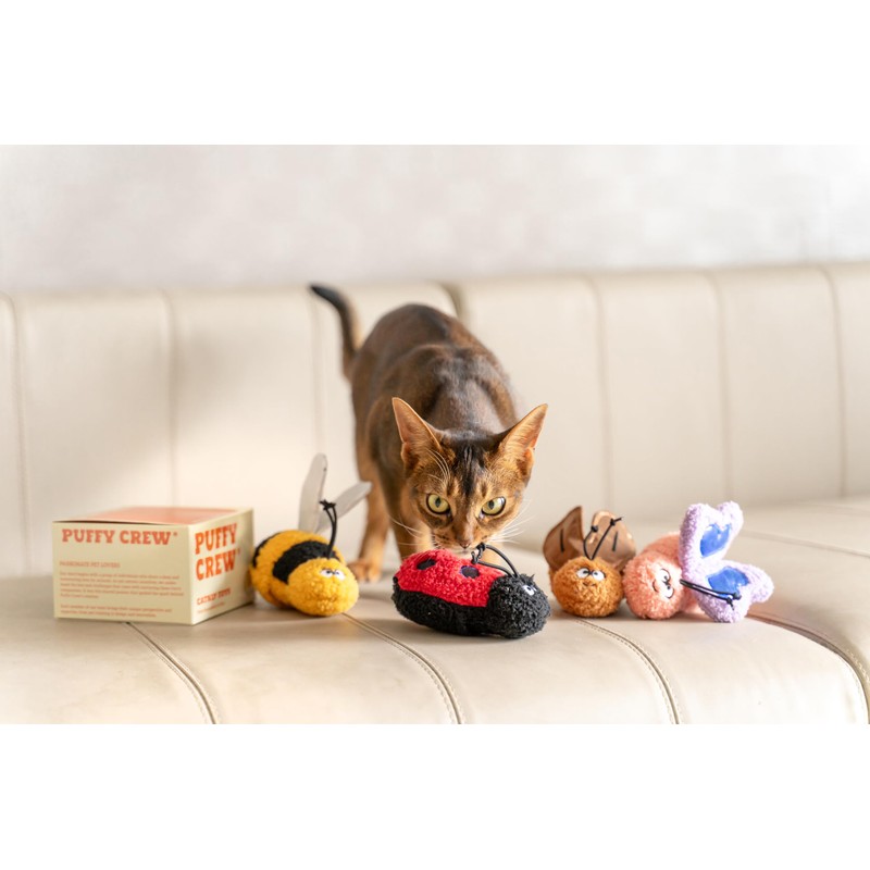 Puffy Crew Interactive Catnip Cat Plush Toy, Insect Theme, 5'',