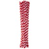 Red & White Twist Chenille Stem Pipe Cleaners - 24