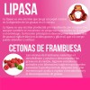 Suplemento Quemador Reductivo Con Lipoenzimas 90 Cápsulas