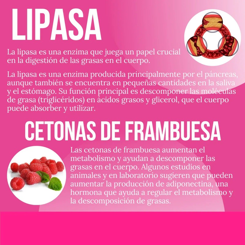Suplemento Quemador Reductivo Con Lipoenzimas 90 Cápsulas