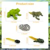 Life Cycle Figurines of Monarch Butterfly and Realistic Frog Toy