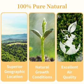 Wanhua Hall Dried Cordyceps Flower Mushroom Dried Cordyceps Mushroom for Cooking 7.05oz Chong Cao Hua 虫草花 蛹虫草 蟲草花