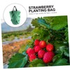 CIYODO 2pcs Strawberry Growing Bag Plant Grow Bags Non-Woven Planters