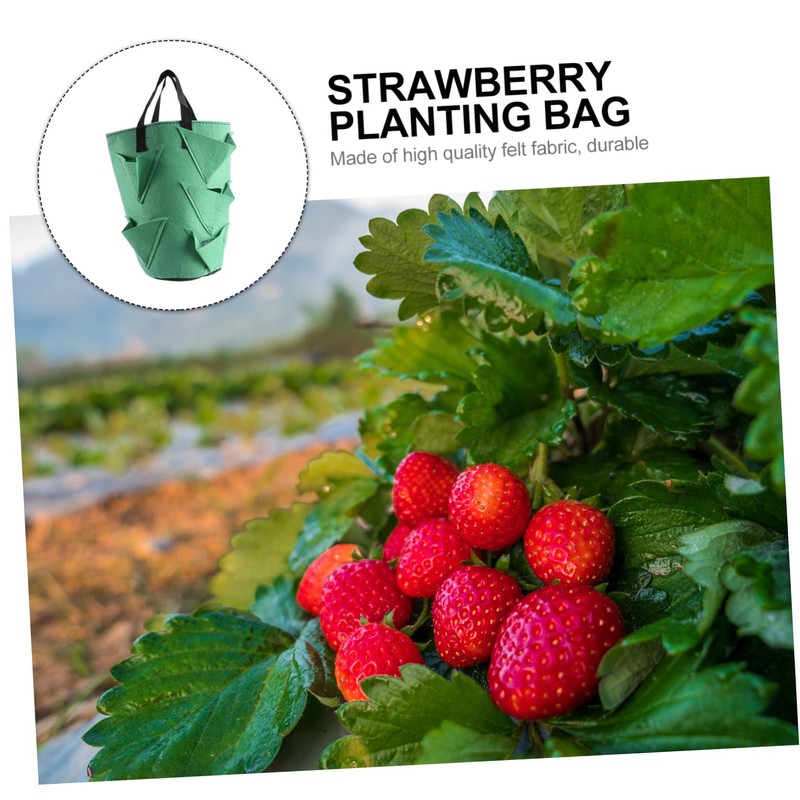 CIYODO 2pcs Strawberry Growing Bag Plant Grow Bags Non-Woven Planters