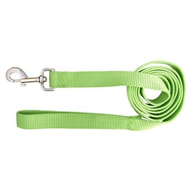 Hamilton Single Thick Nylon Dog Lead, 1-Inch by 4-Feet, Lime Green