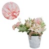 Simulation Potted Plants Bonsai Ornaments Artificial Flower Potted Plant for